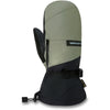 Titan Gore-Tex Gloves - Mulled Basil - Mulled Basil - Men's Snowboard & Ski Glove | Dakine